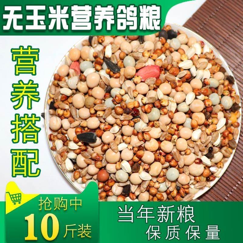 鸽子粮食10斤包邮玉米小粒白鸽饲料鸽食信鸽专用鸽粮五谷杂粮颗粒