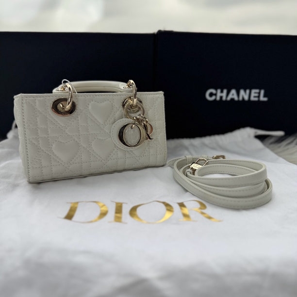 99新 DIOR/迪奥 D-joy超迷你横版戴妃