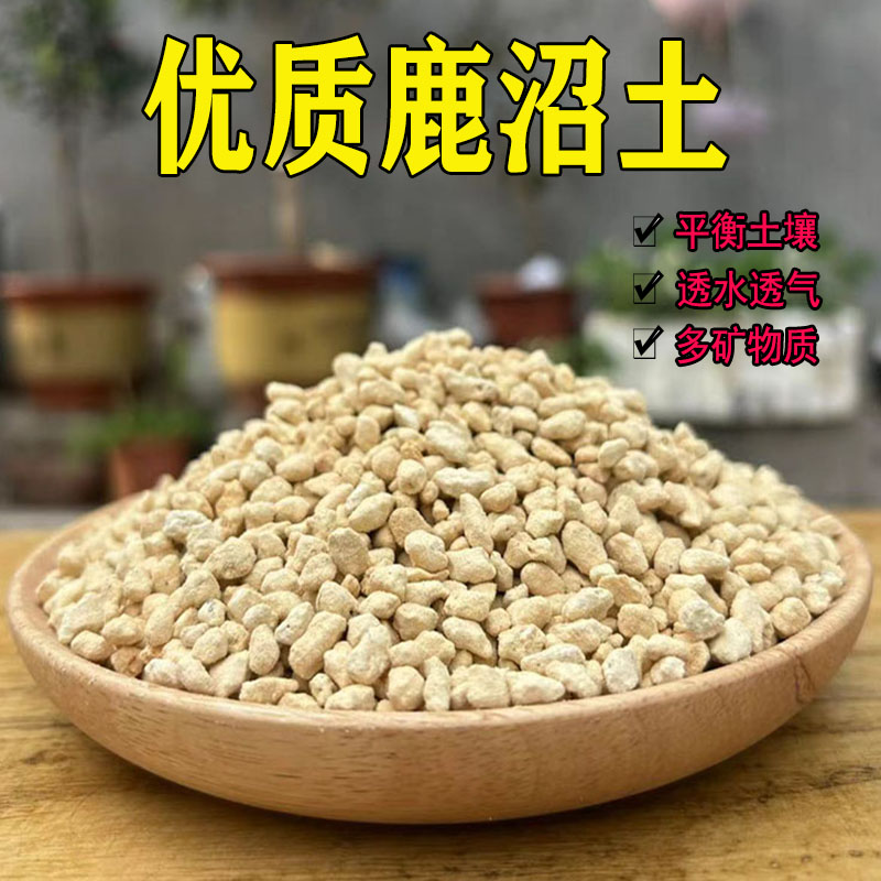 鹿沼土 进口酸性颗粒土杜鹃茶花茉莉喜酸植物拌土铺面排水透气