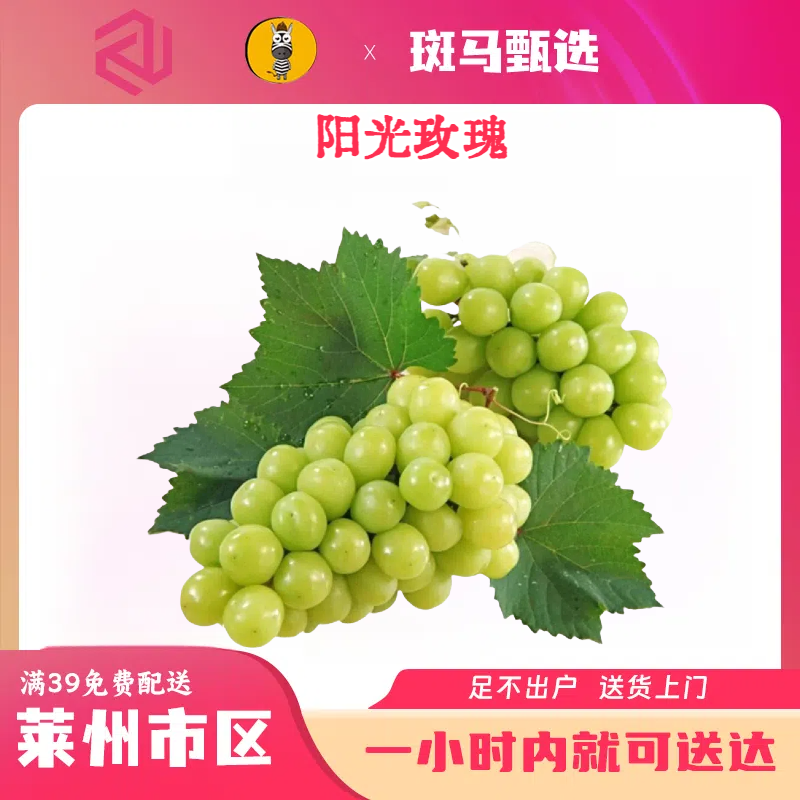 【同城配送】云南新鲜采摘阳光玫瑰 玫瑰青提 一斤一份 9.9元/斤山东省