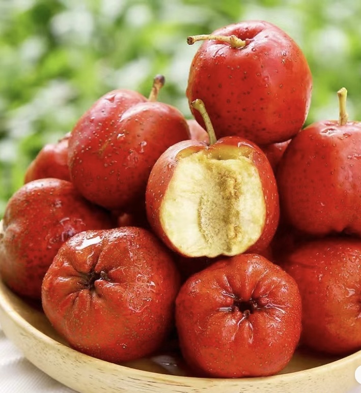 黑石汪沂蒙山新鲜大五棱山楂鲜果水果冰糖葫芦糖雪球原料现货现发