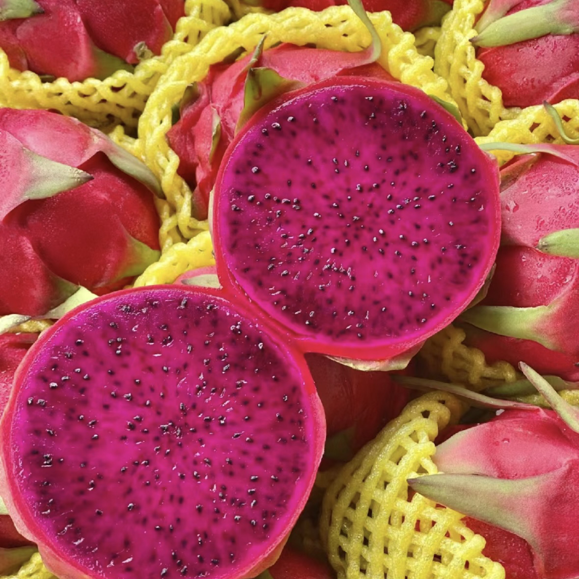 【曦哥家 售后无忧】海南红心火龙果 大果 满满花青素 只发渝贵川