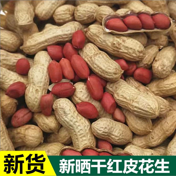 新鲜红皮带壳生花生5斤晒干红衣花生四粒红小花生粉皮100g多