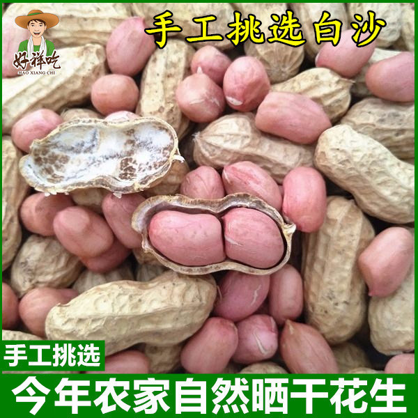新鲜晒干带壳生花生1-5斤白沙河南阳粉皮小粒精选花生米好祥吃