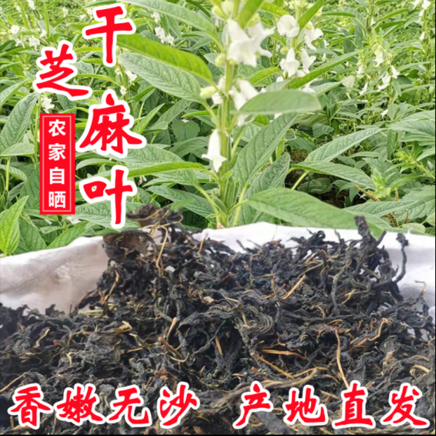 25年新芝麻叶精选晒干芝麻叶干菜500g河南特产嫩芽农家自晒250g