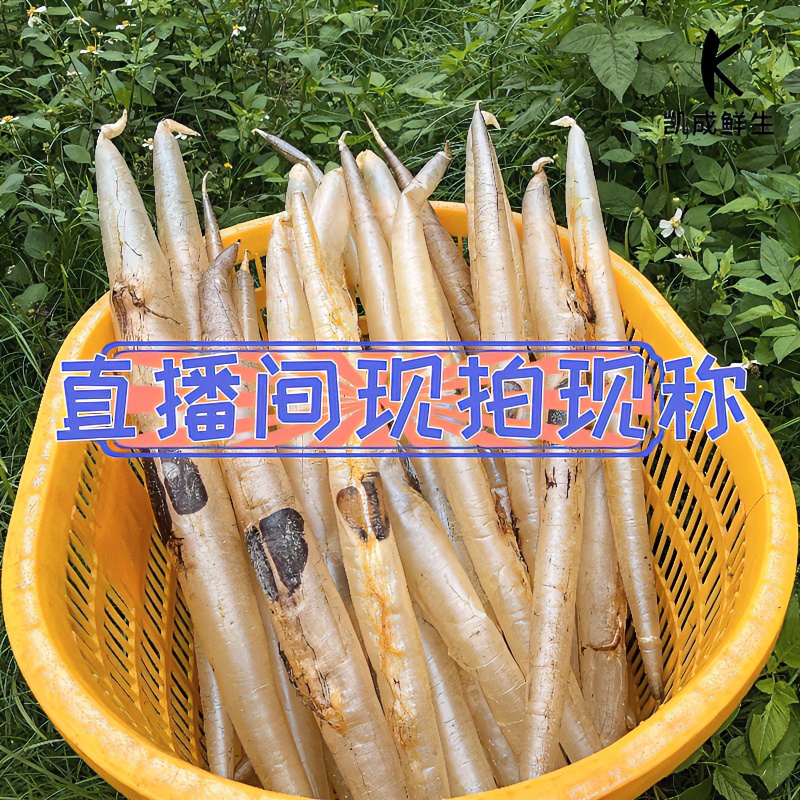 直播间现称现卖 鳗鱼胶 渔民船上自然晒干天然品质营养原生态胶质