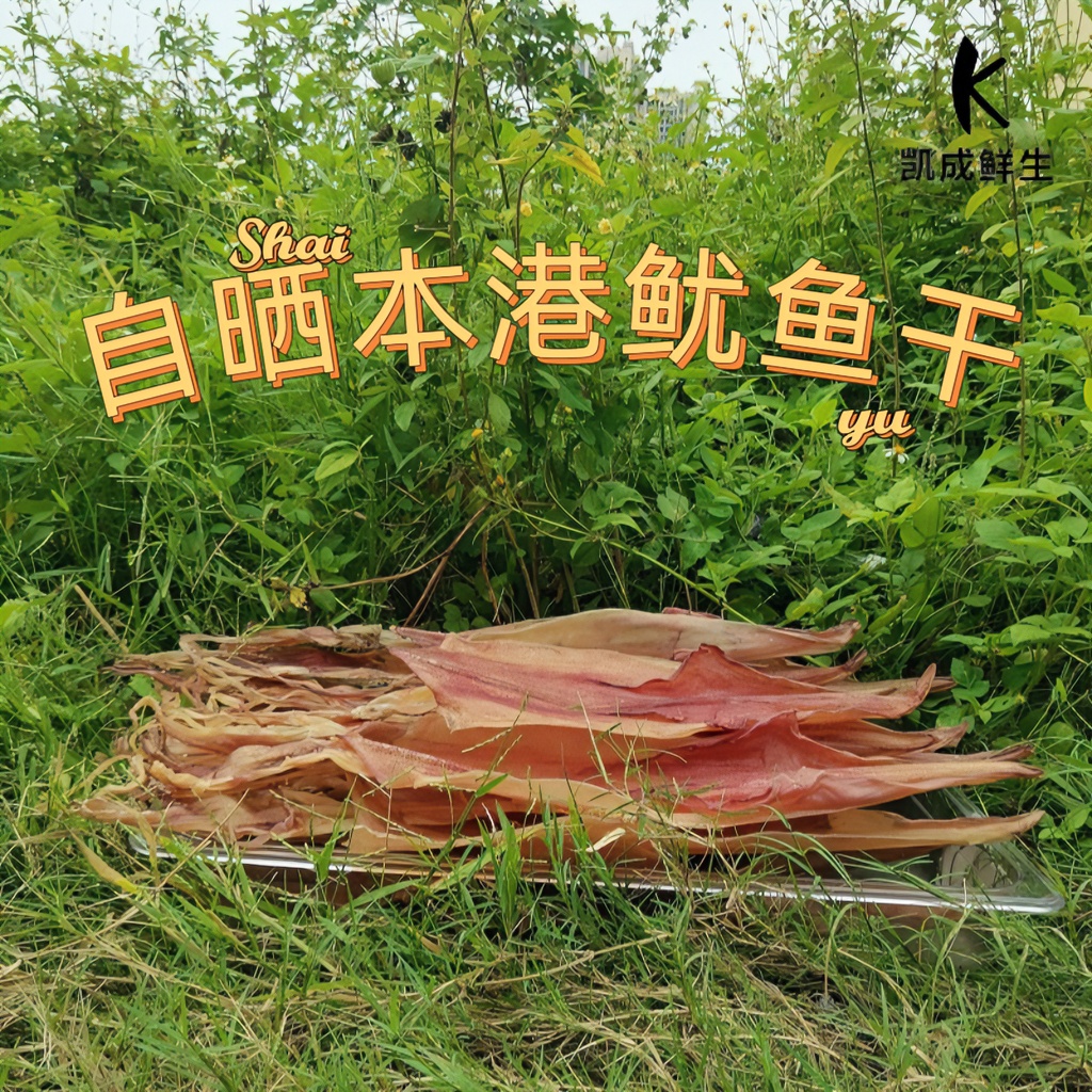 本港天然野生自晒鱿鱼干广东博贺港   原生态饱满精选自然