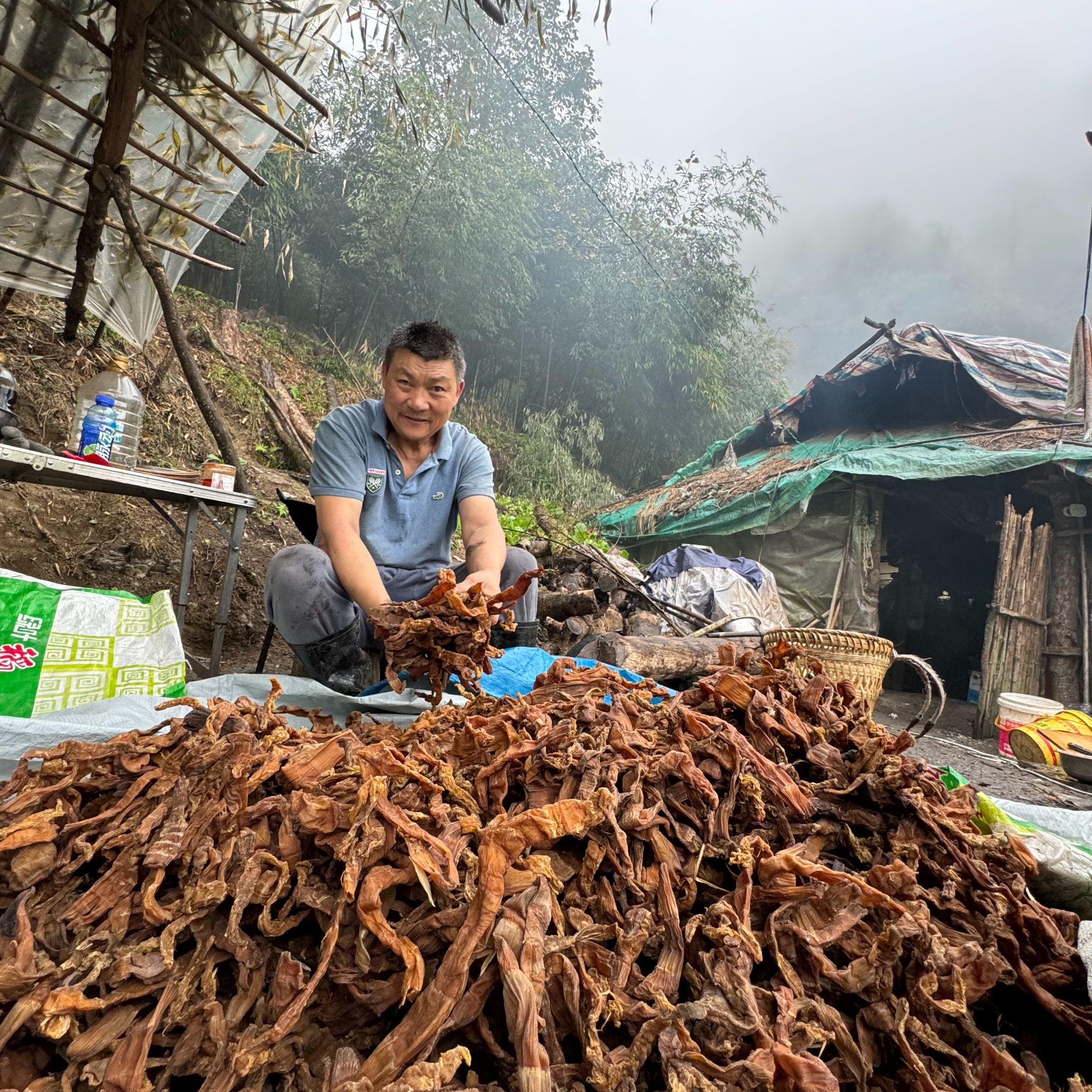 金佛山方竹笋干农家自制干笋可清炖腊制品或者红烧牛羊肉