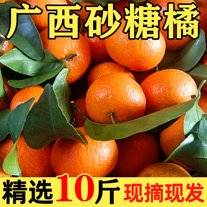 【顺丰包邮】广西砂糖橘桂林蜜桔应季水果现摘新鲜砂糖橘皮薄1-10斤