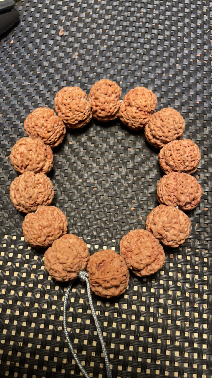 尼泊尔大金刚菩提