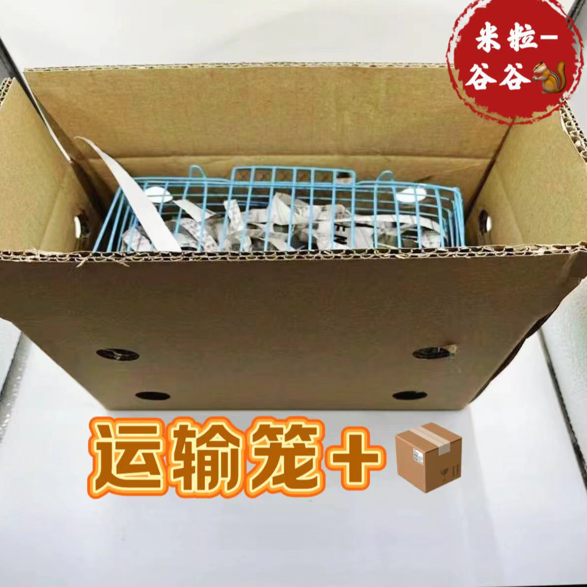 【顺丰发货】三代运输笼饲养套装整套教程多个颜色可选择包路上风险