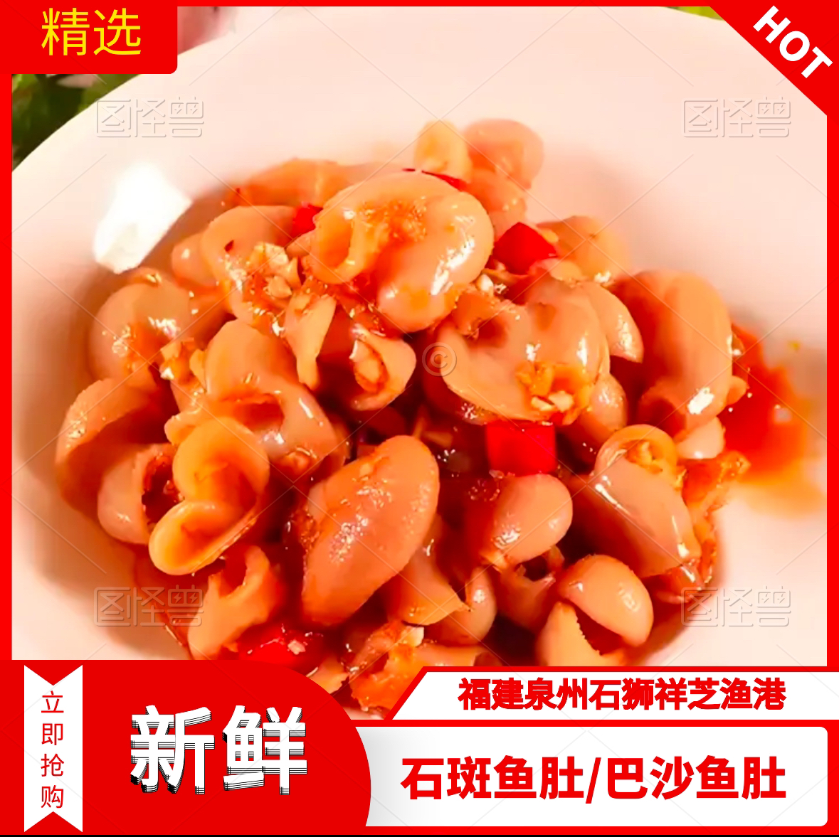 祥芝本港【现挑鱼肚】