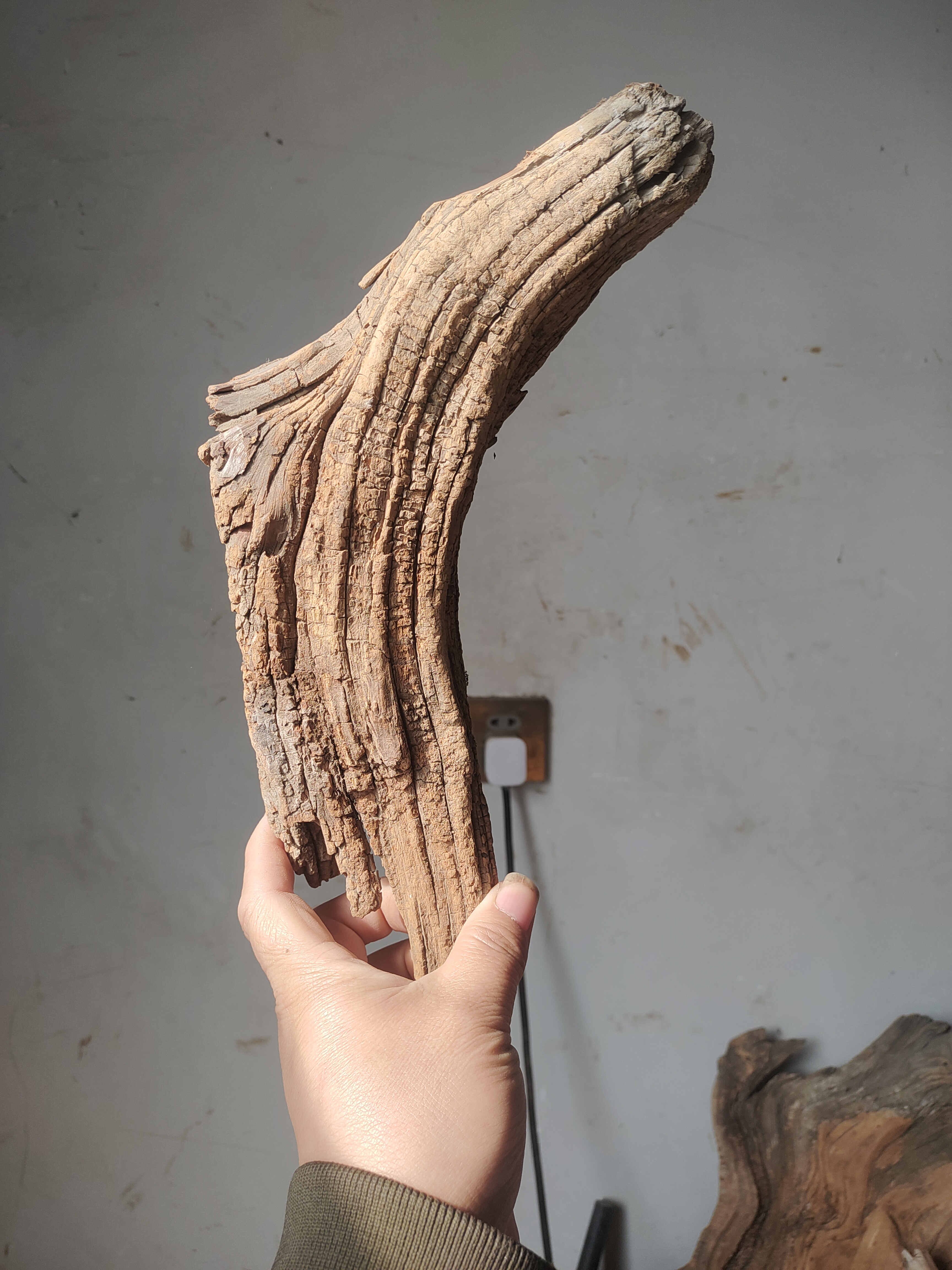 太行崖柏练手小把件料