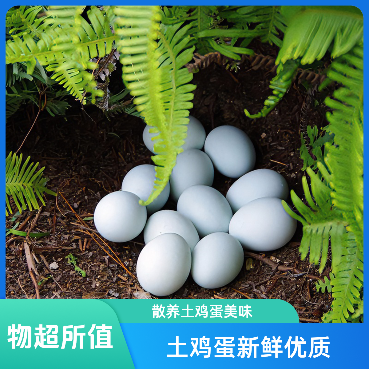 【土鸡蛋】湖南农家新鲜土鸡蛋