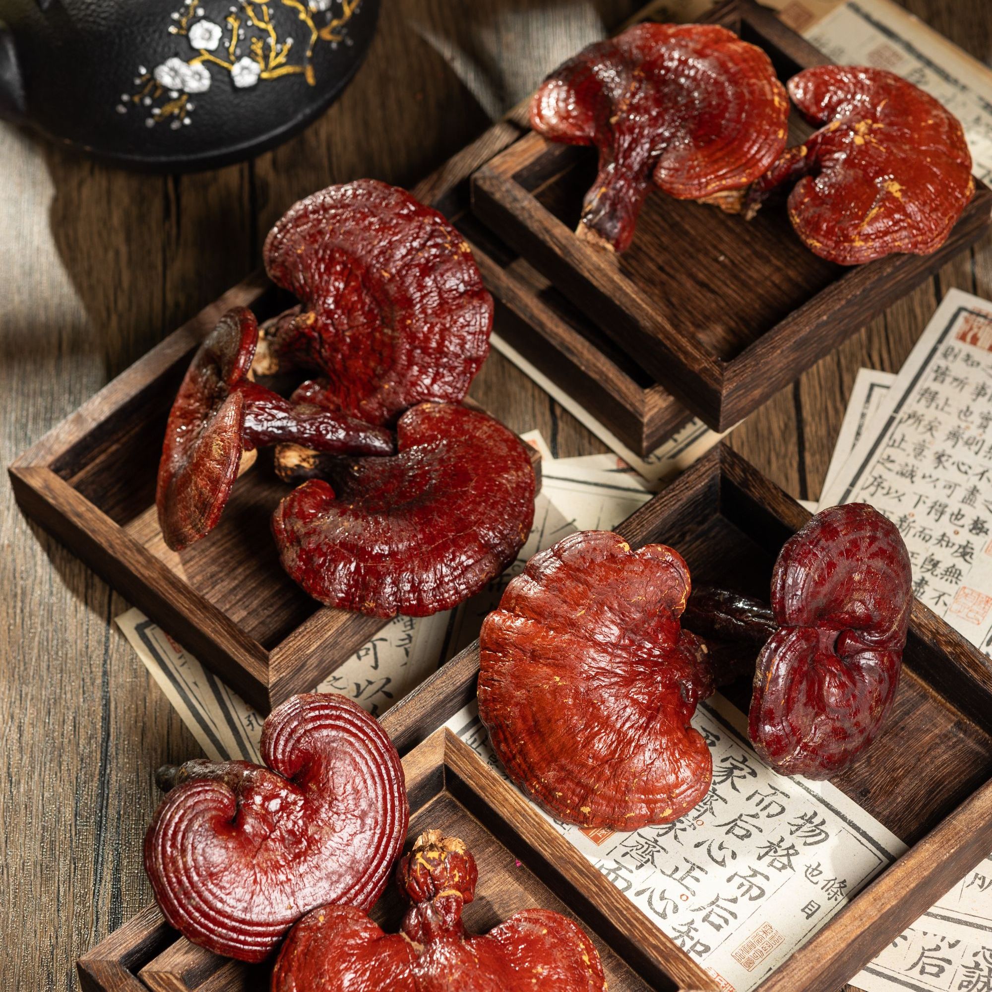 【如意小赤灵芝】长白山特产整支精品小朵赤灵芝参泡酒