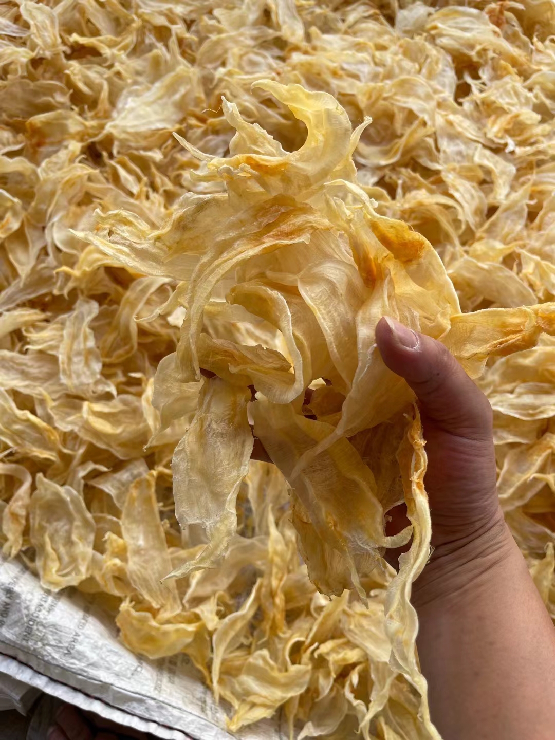 【佳运滋补行】北海公胶250g