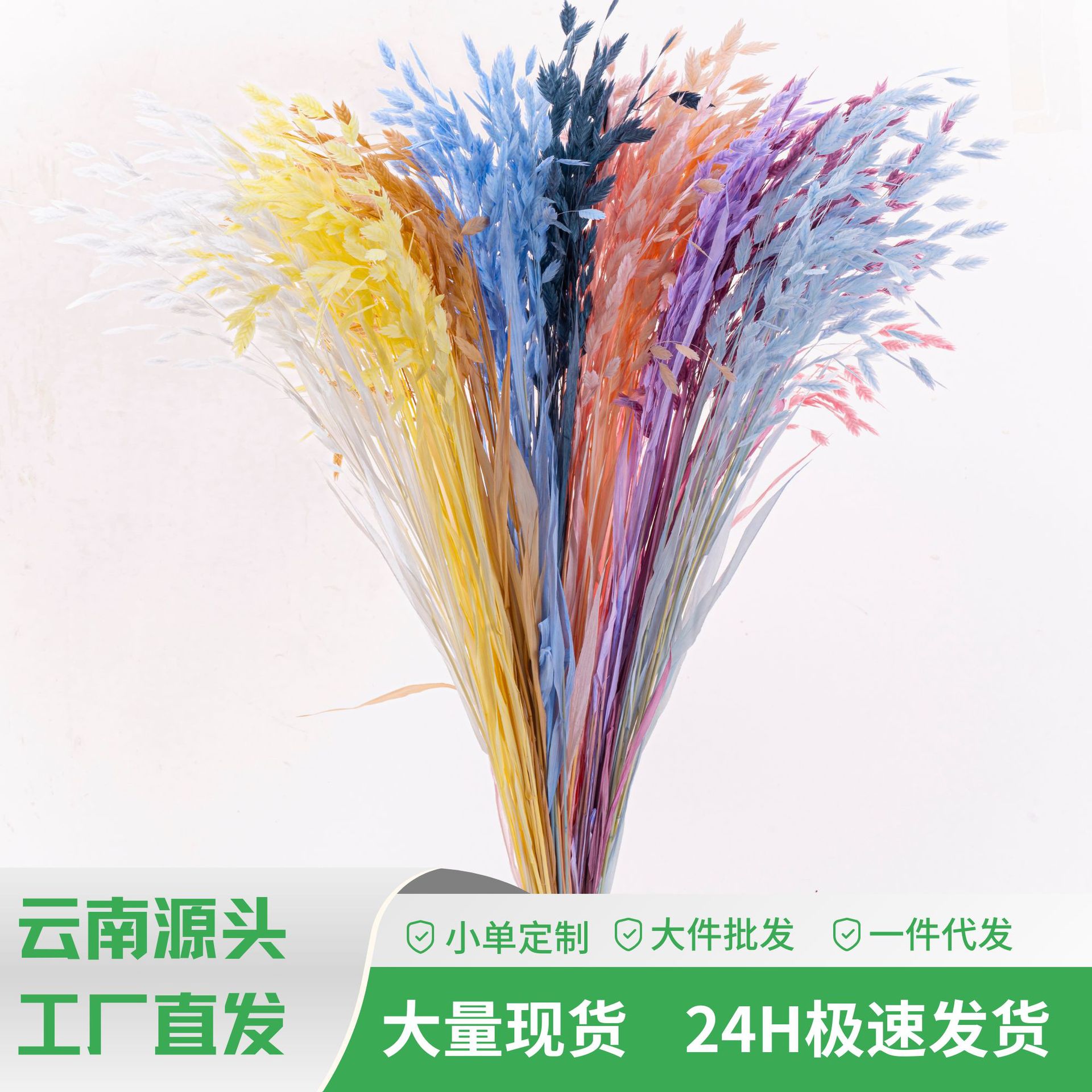 【花落谁家】小盼草永生花插瓶永生花装饰花材天然叶子植物真花