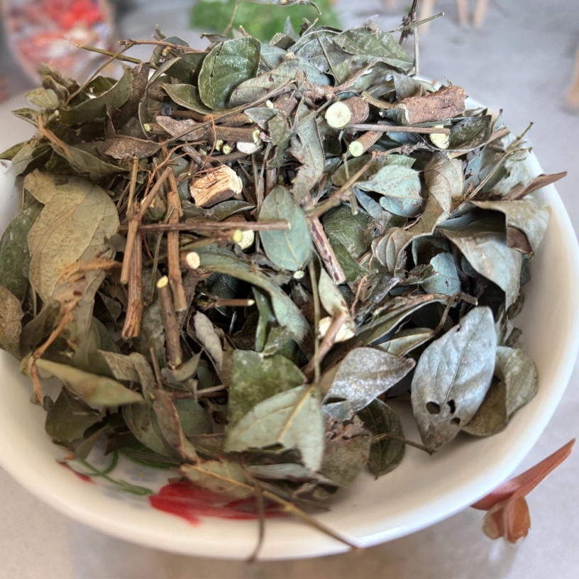 江西野生饿玛蝗：山角豆：胃痛草：紫藤小槐花：山蚂蟥山豆根