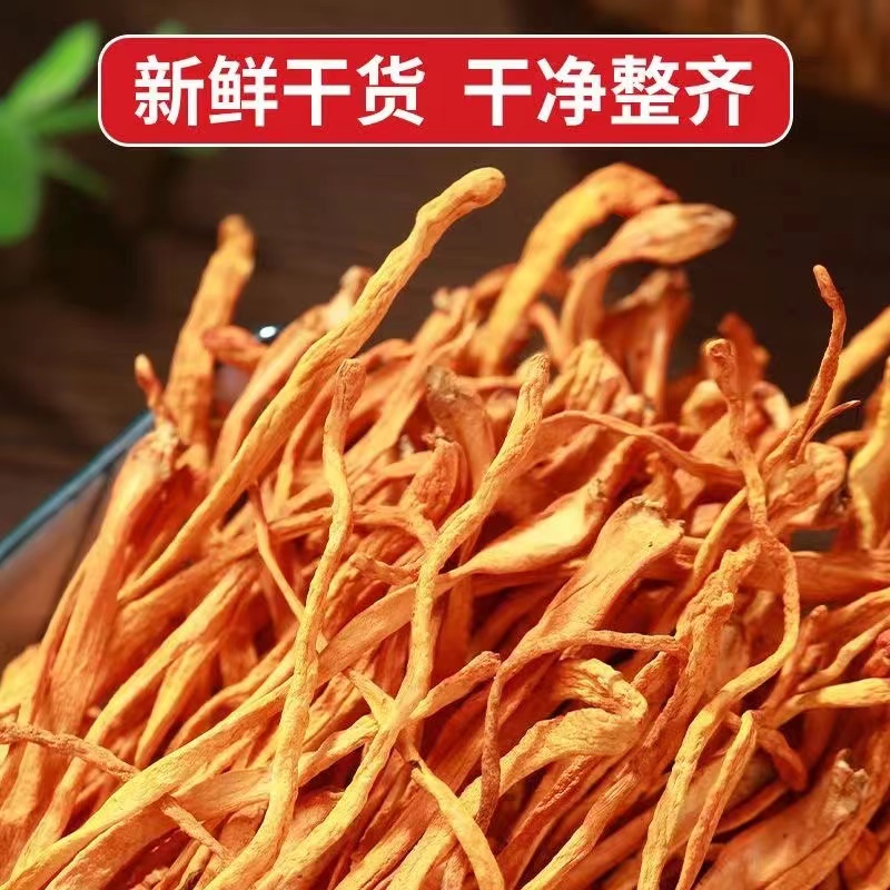虫草花煲汤食材煲汤必备