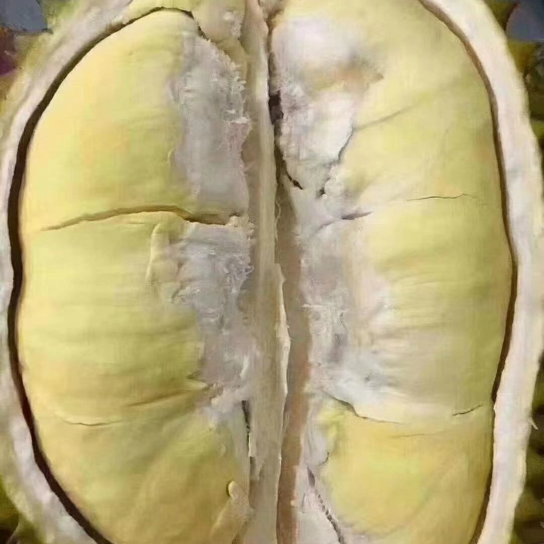 特价新鲜榴莲不包售后 适合煲汤做甜点 100g 核小追求口感介意的勿拍 高州市区同城配送