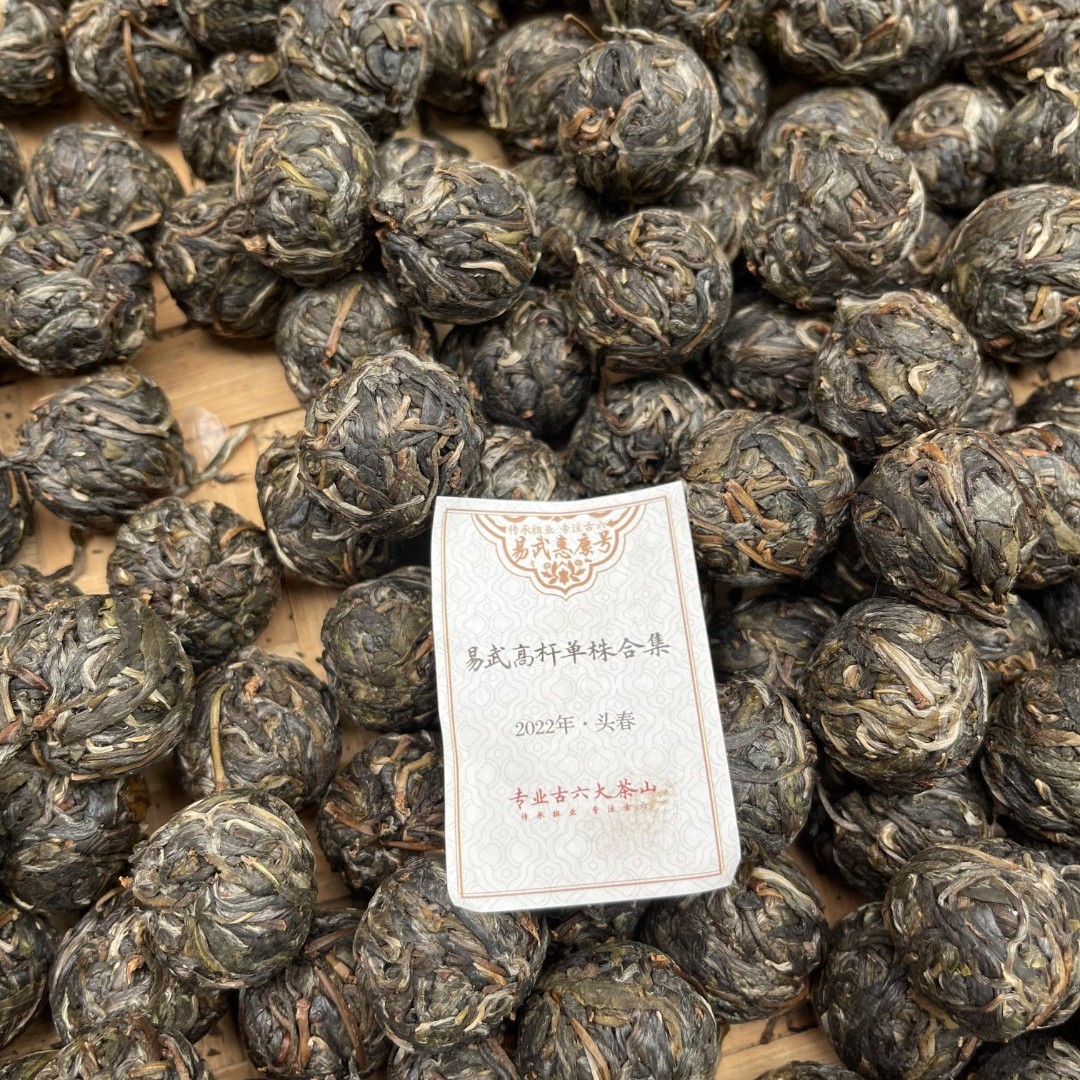 易武高杆单株龙珠：2020年-2025年混装共3颗