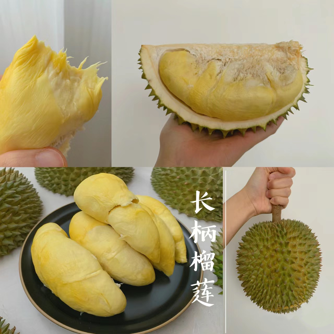 泰国进口长柄干尧鲜果长柄干尧