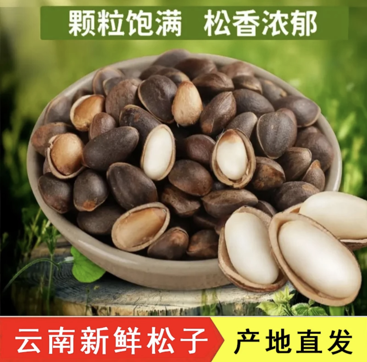 2025年云南新鲜薄壳 大松子生吃原味松子 颗粒饱满1斤/2斤