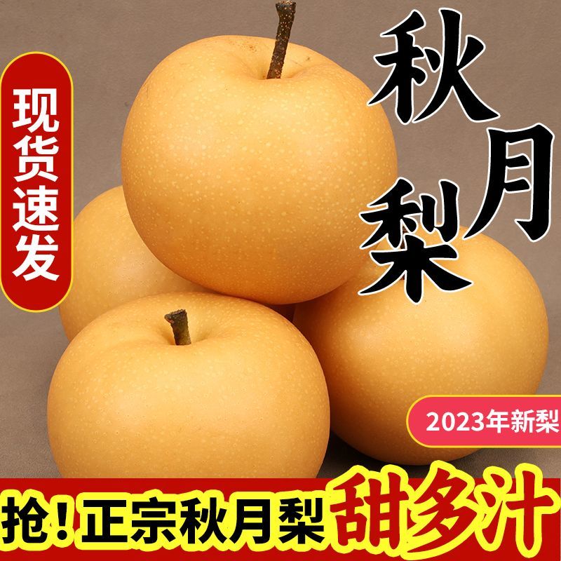 秋月梨10斤礼盒新鲜应季水果纯甜薄皮汁水多整箱整箱非丰水梨5斤