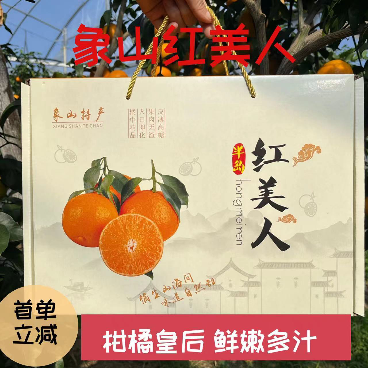 正宗象山红美人热卖柑橘自家果园甄选发货基地采摘直供新鲜皮薄