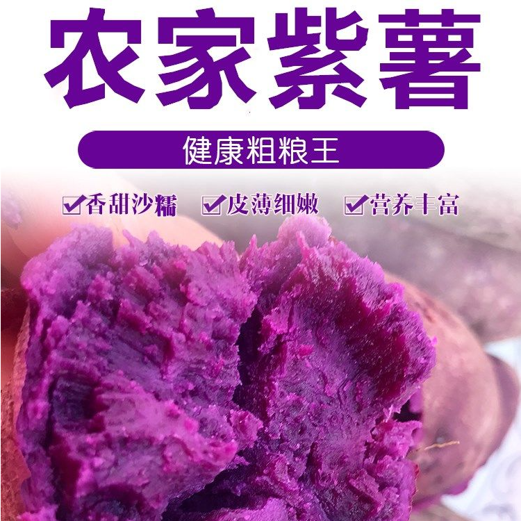 农家自种紫薯甜糯代餐紫薯现挖直发 5斤