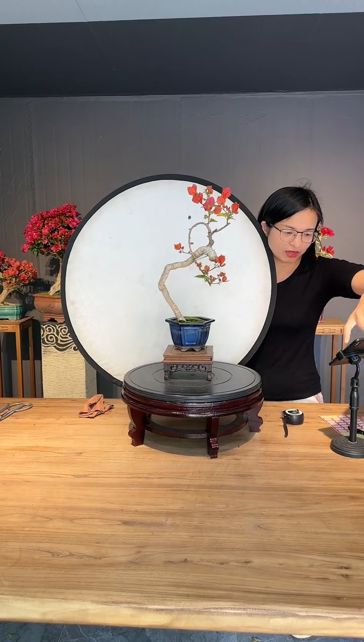 【闪购商品】1107 同安红
