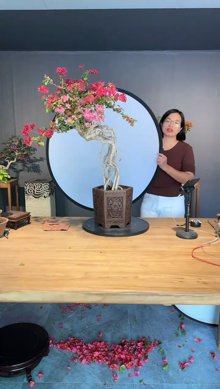 【闪购商品】凌程  重瓣