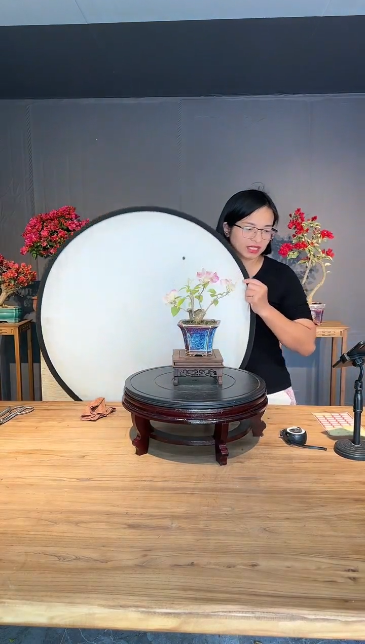 【闪购商品】珍爱 绿樱