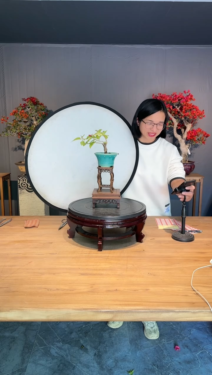 【闪购商品】知足 金心双色