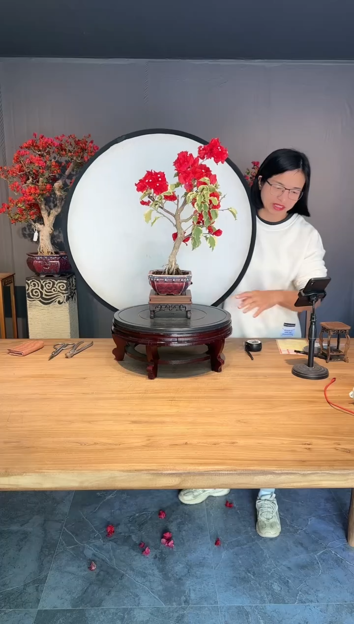 【闪购商品】jill  金边花叶大红