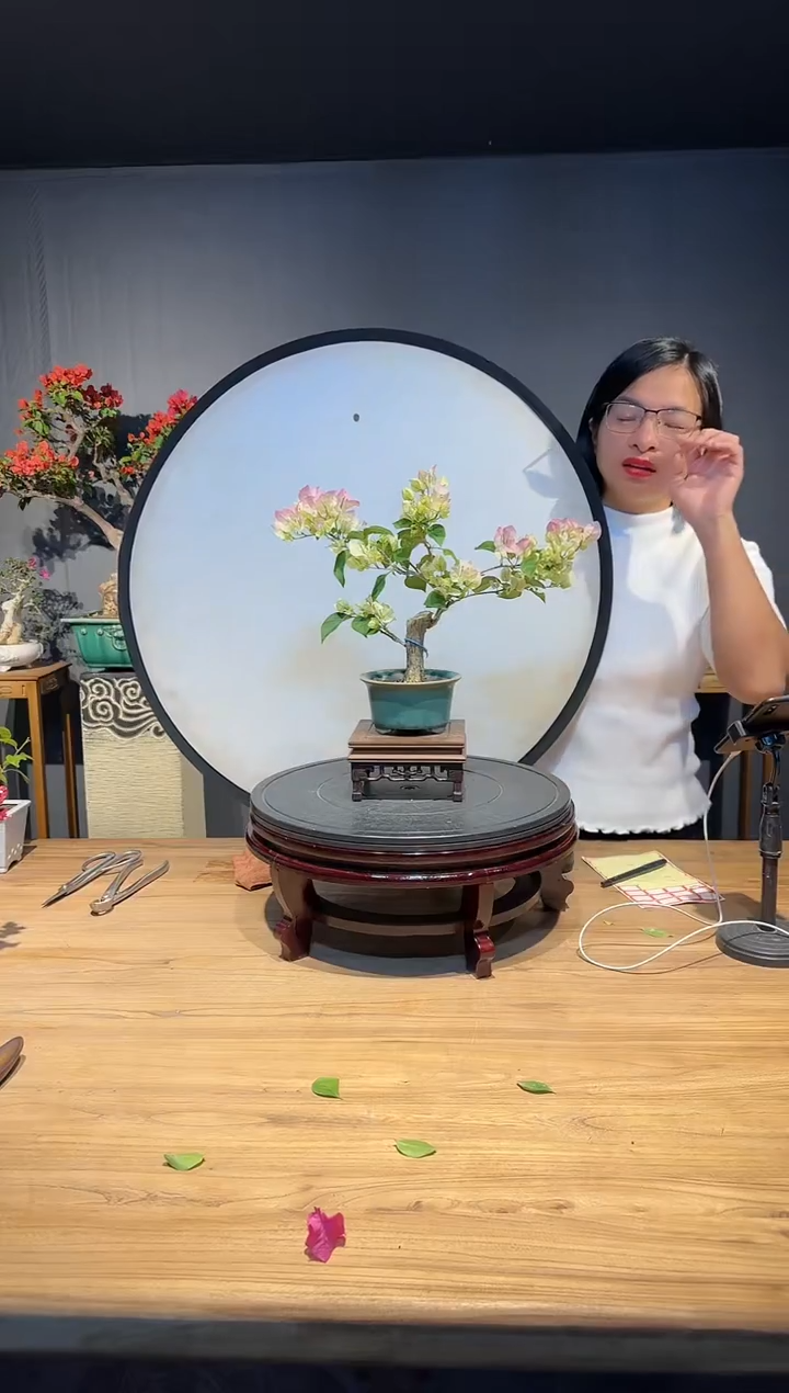 【闪购商品】十月  绿樱