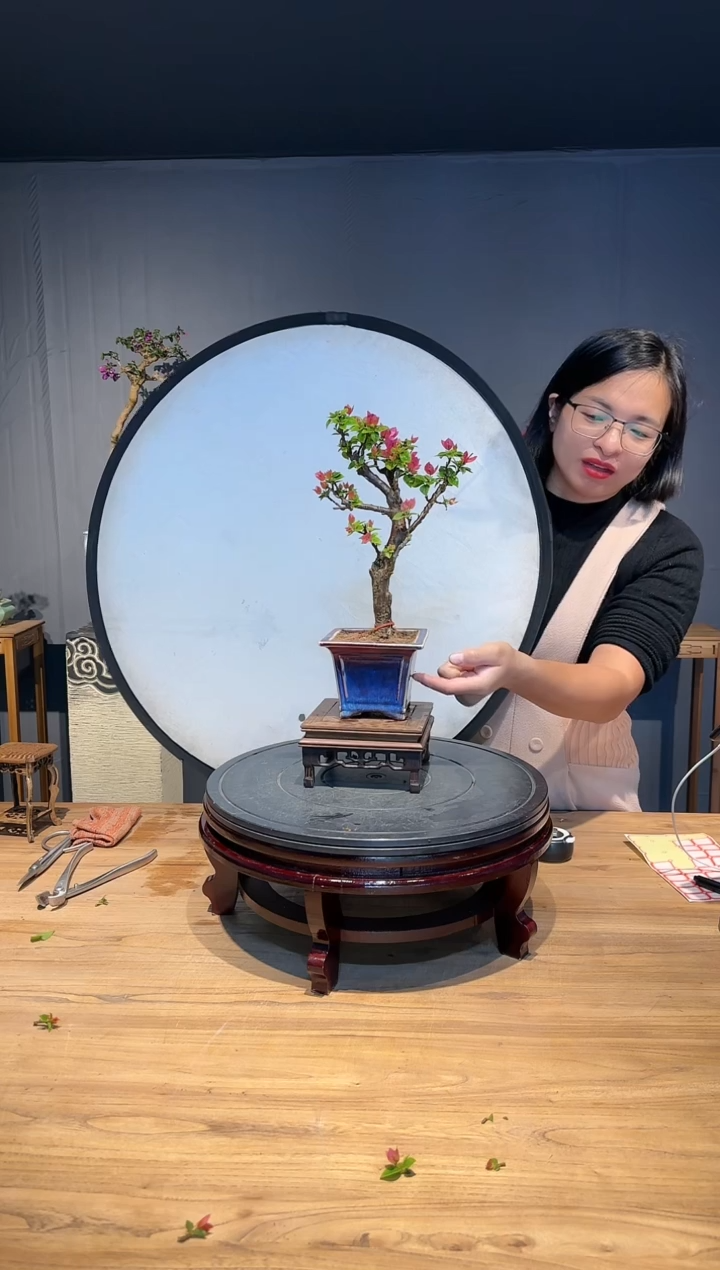 【闪购商品】好运  小桃红