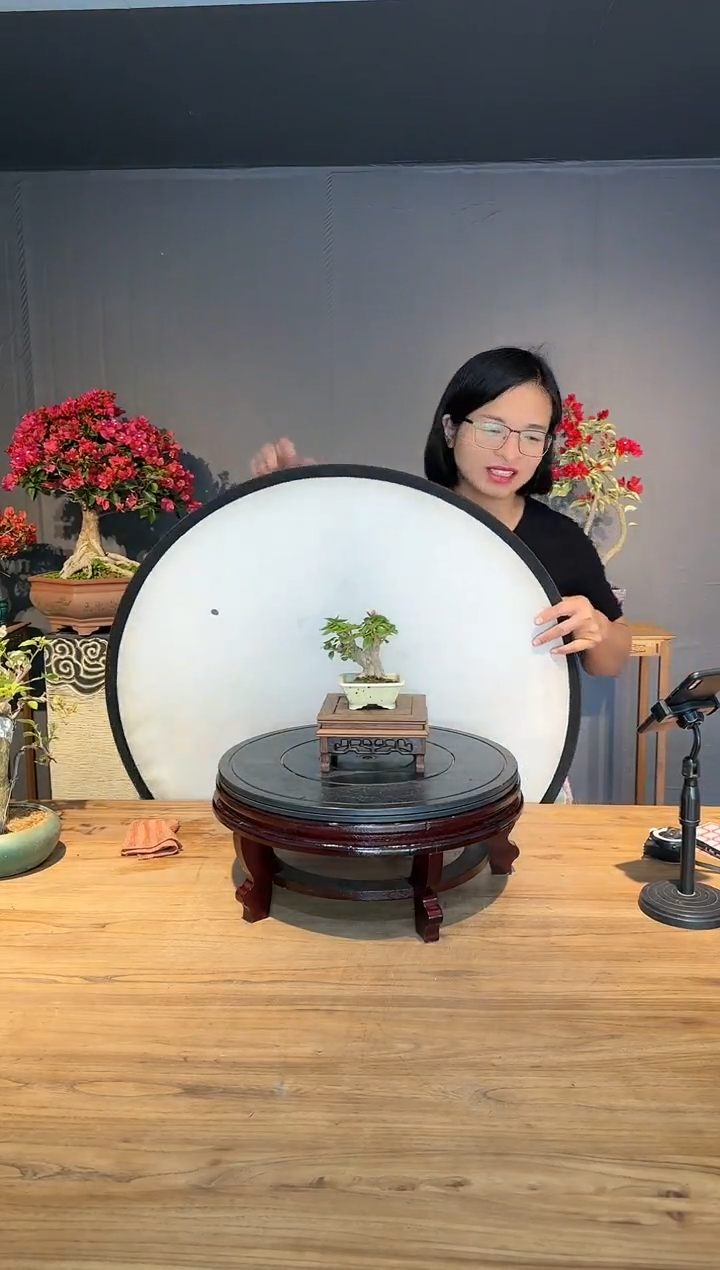 【闪购商品】人生  小桃红