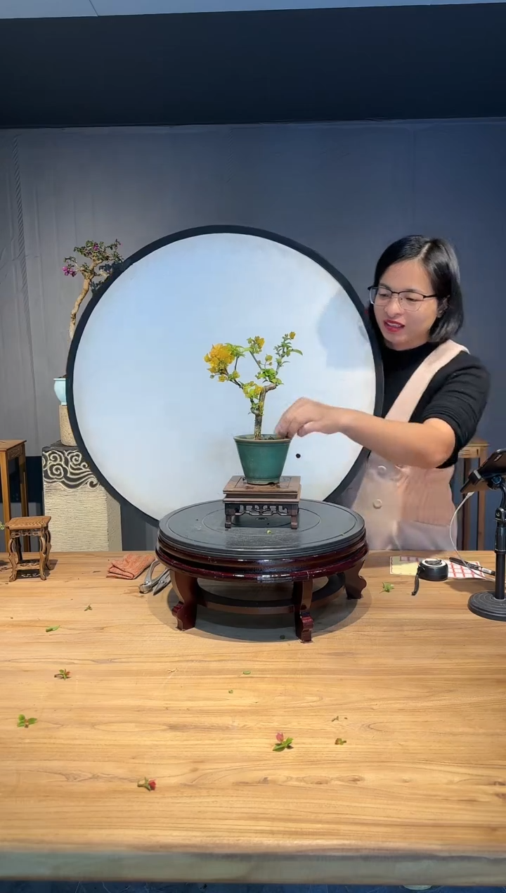 【闪购商品】好运  柠檬黄