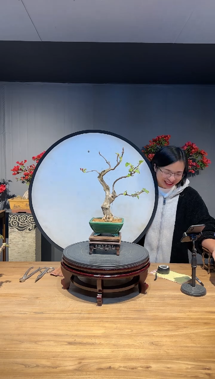 【闪购商品】冬至  同安红