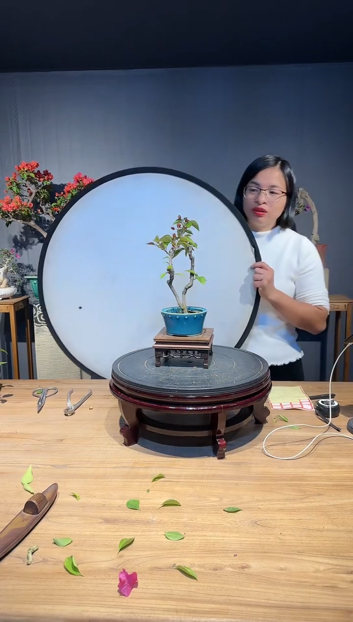 【闪购商品】伟  同安红