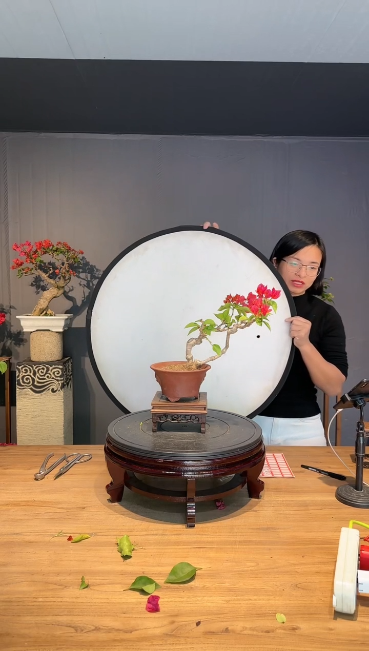 【闪购商品】樵夫  同安红
