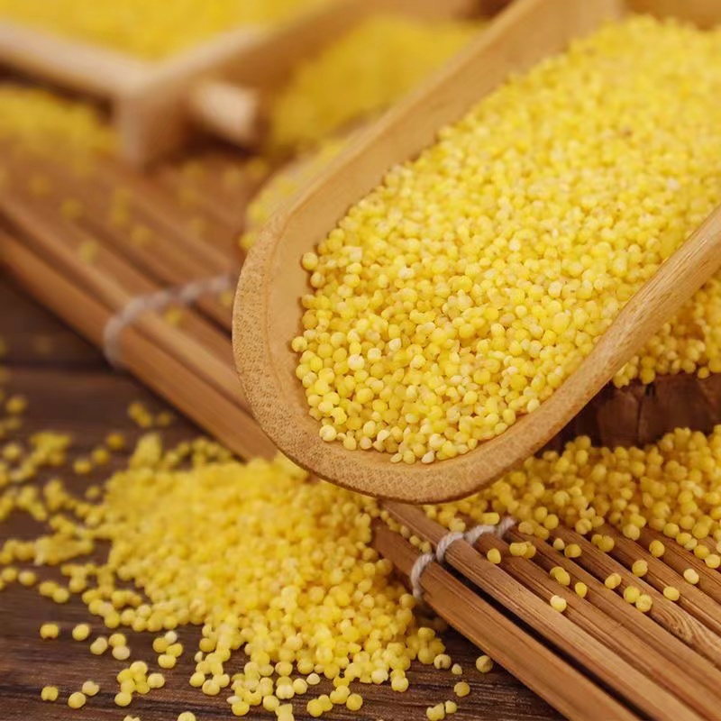 沂蒙山黄小米新米5斤装