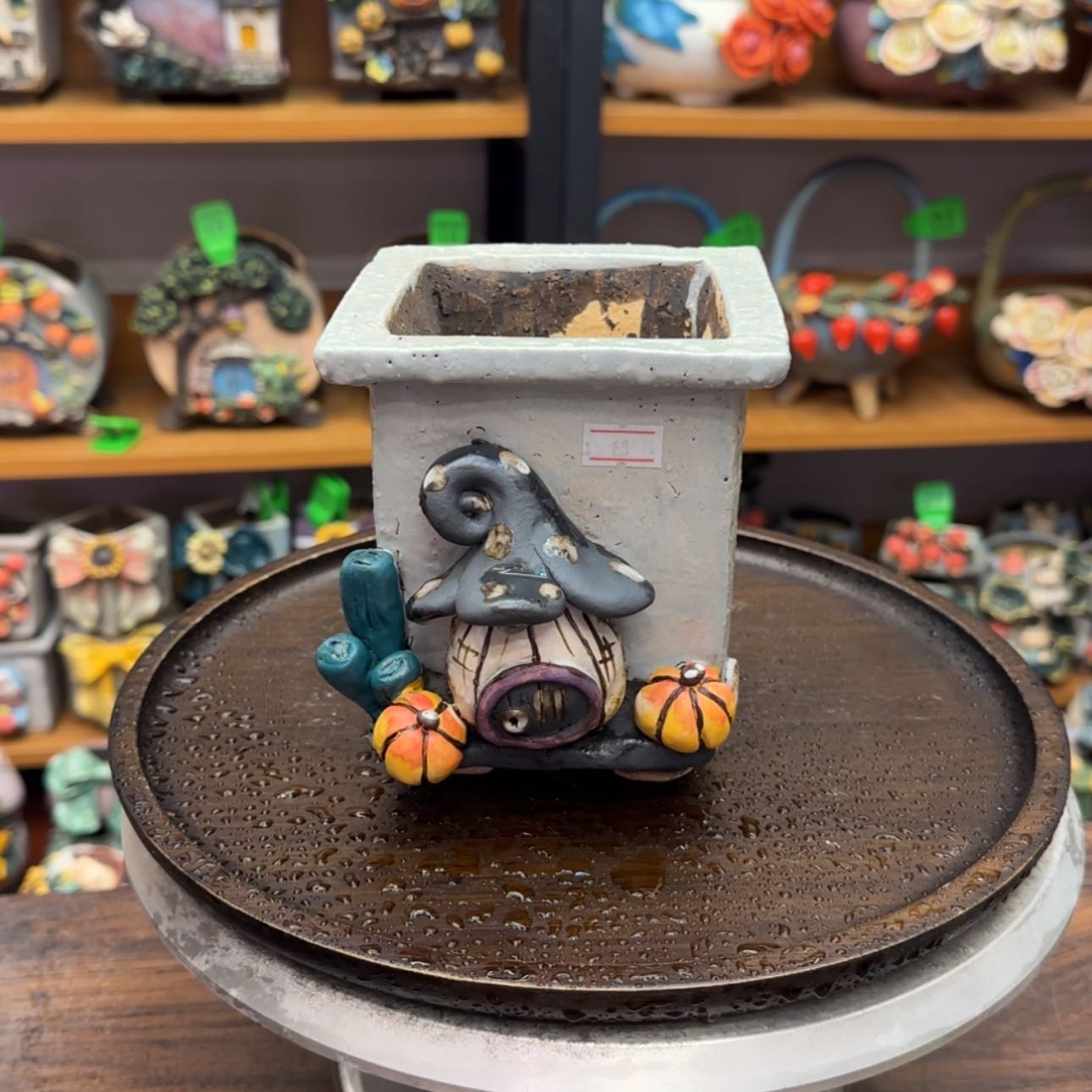 【闪购商品】青*。粗