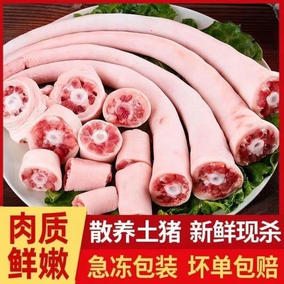 新鲜猪尾巴长尾整根中长尾巴短尾批发带皮尾巴清理干净冷链包邮