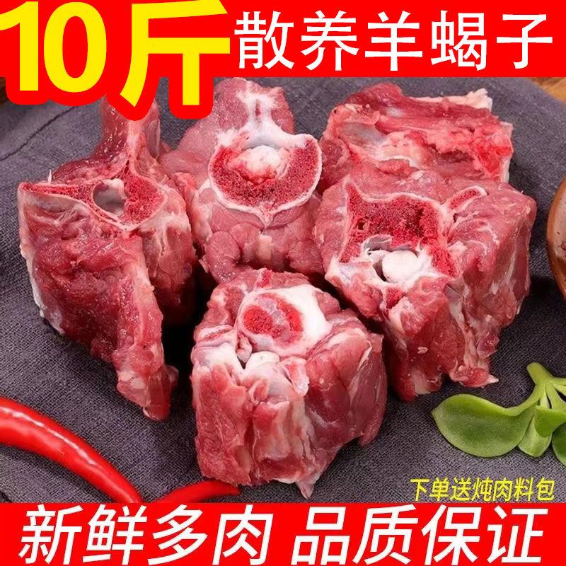 原切多肉羊蝎子羊脖骨羊脊骨羊骨头羊肉新鲜散养整根火锅食材批发