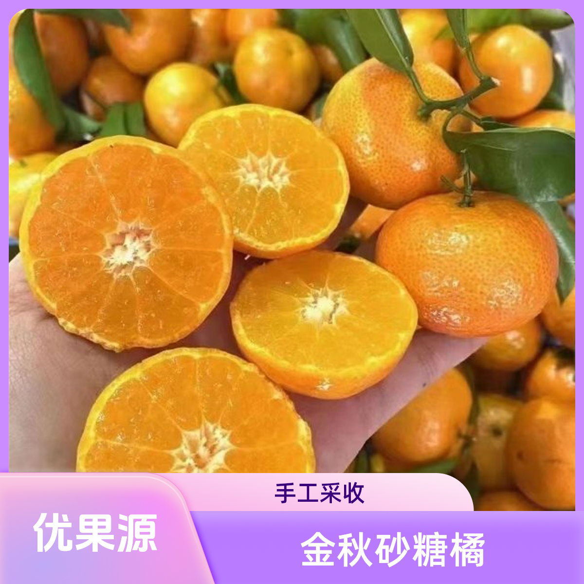 广西砂糖橘（500g）【好东西】广西壮族自治区