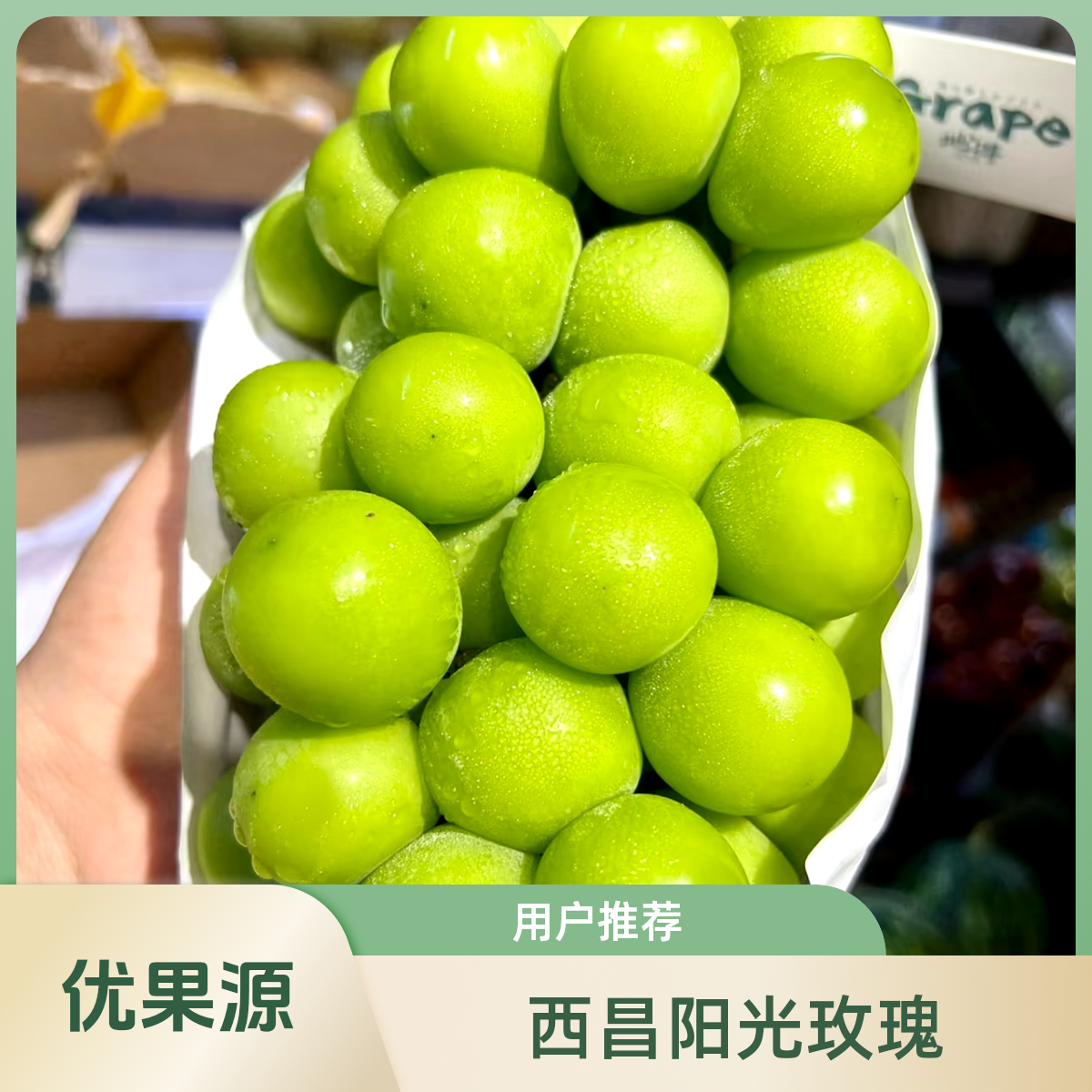 西昌阳光玫瑰（两斤左右）