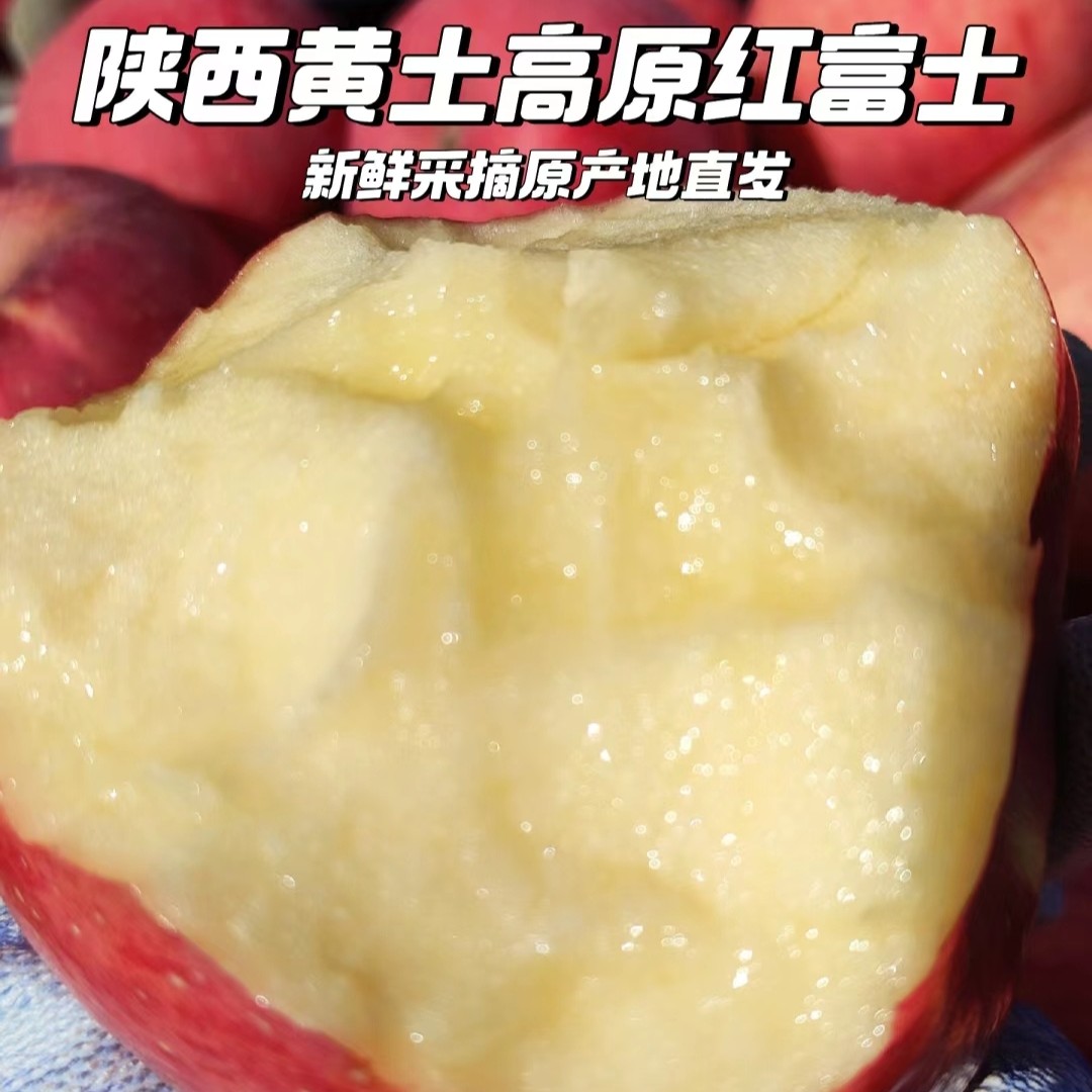 2025新果陕西延安黄土高原农家种植脆甜红富士苹果现摘5-15斤