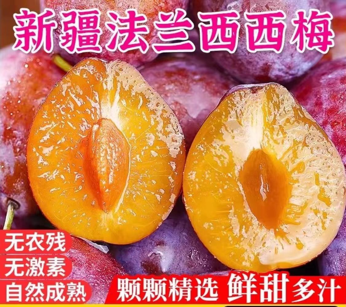 【精选2斤中大果】新疆喀什西梅新鲜采摘超甜多汁整箱发货包甜包邮包售后（±10g）【次日达】